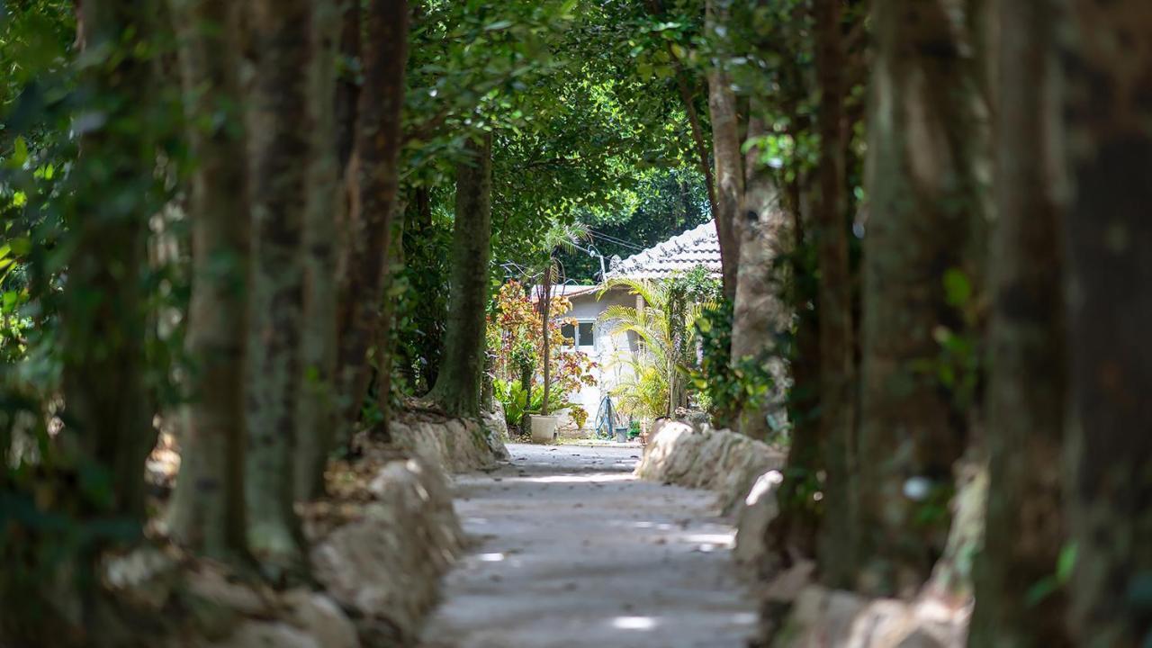 La Ohana～瀬底島～（2022年open） Okinawa Buitenkant foto